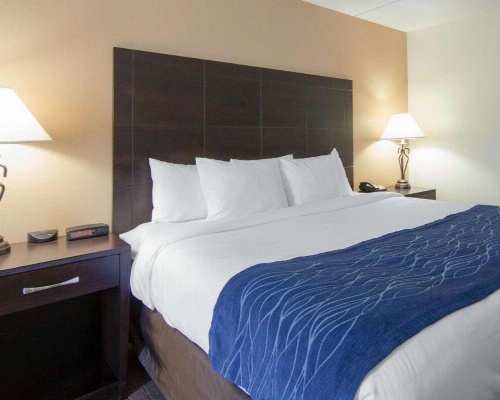 Comfort Inn Oak Ridge image 18